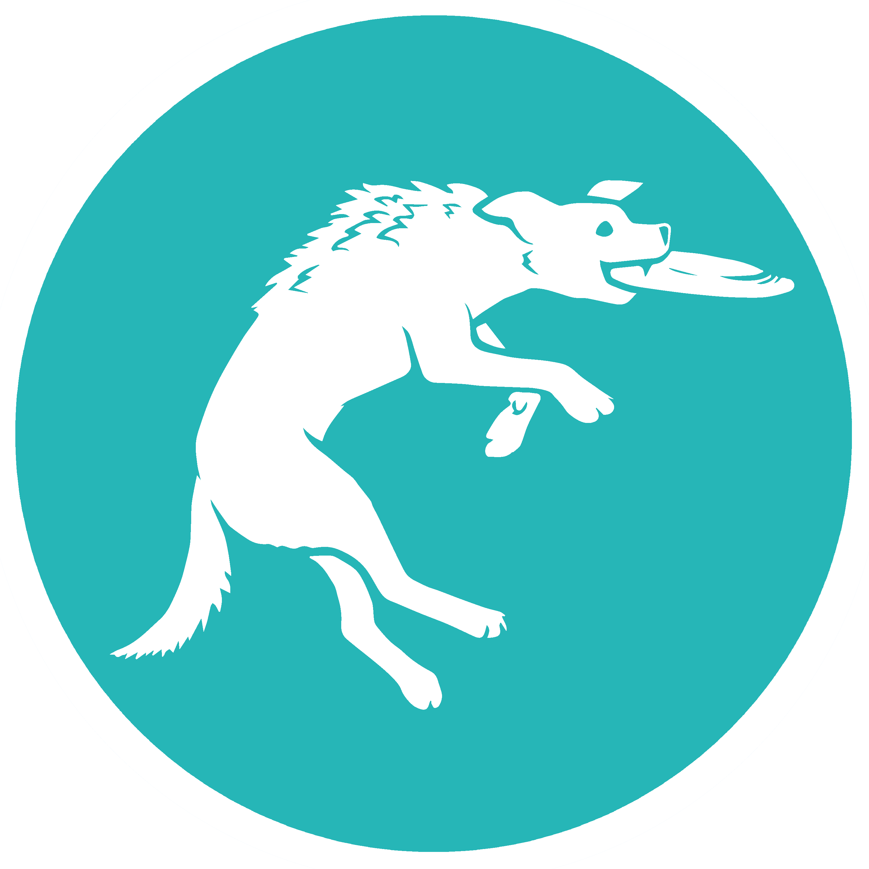 K9 Spirit Organization