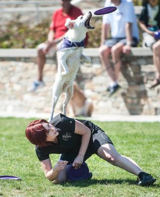 omrktd-b88905521z.120170313103208000gijlskqo.10